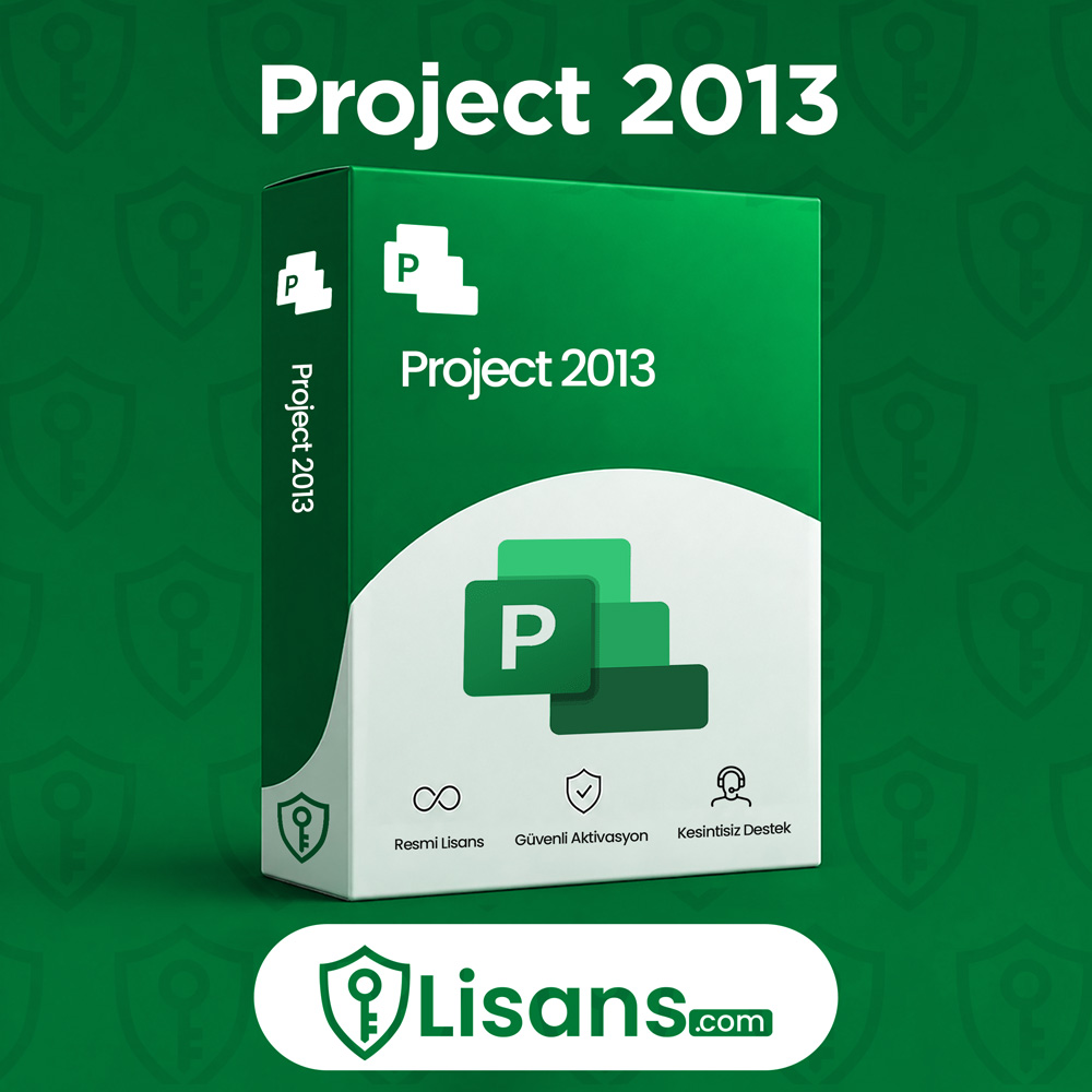Project 2013